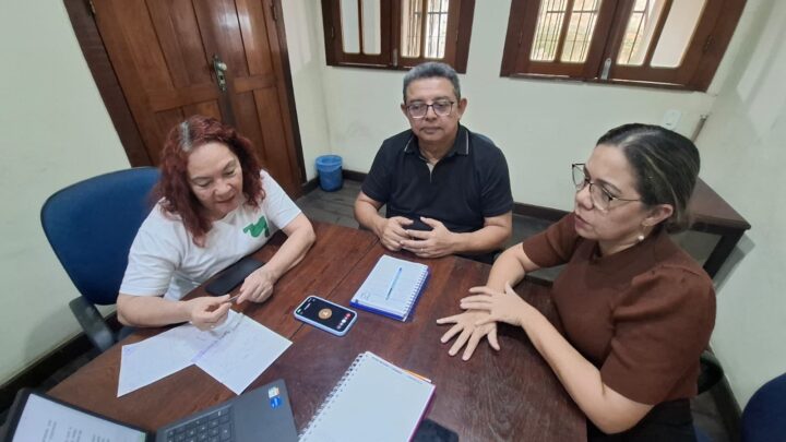 SENGE-PA PARTICIPA DE REUNIÃO SOBRE EDITAL DO CONSELHO FEDERAL DE ENGENHARIA E AGRONOMIA